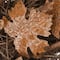 18" Harvest Brown Maple Leaves Wreath